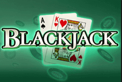 Kiwi Online Casinos