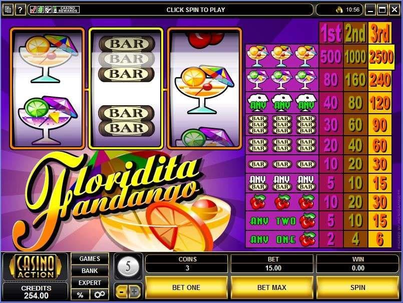 Dive Into the Fun at Roxy Palace Casino